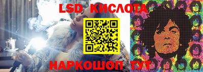 крисы Дубна