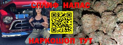 крисы Дубна