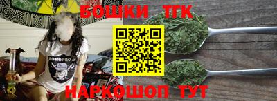 крисы Дубна