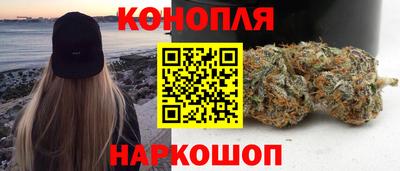 спиды Донской