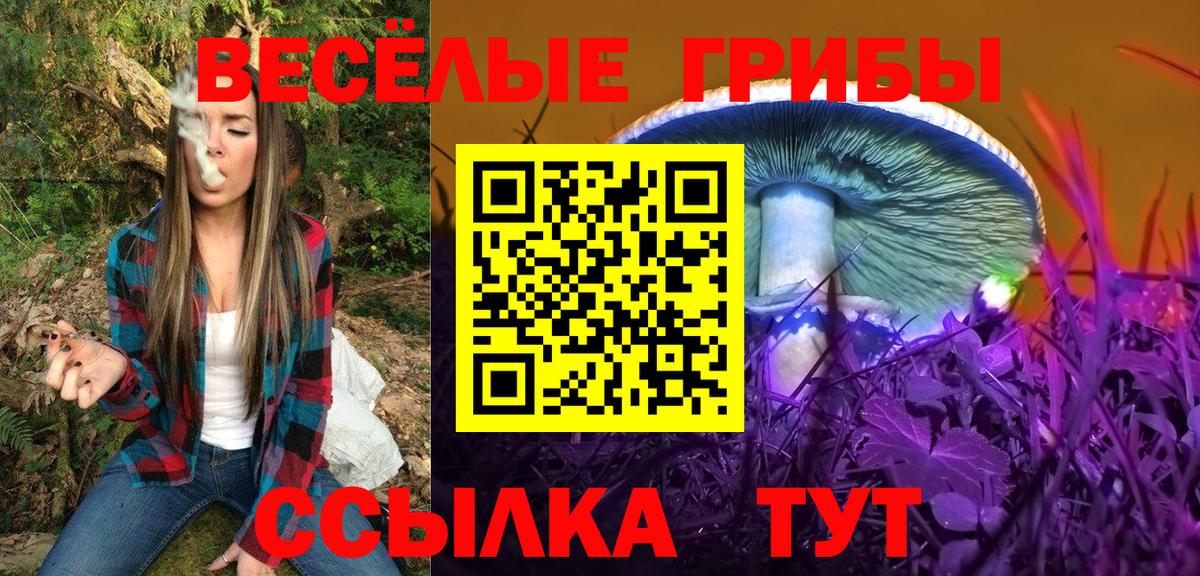 Псилоцибиновые грибы Cubensis  Вход с VPN  Лесосибирск 